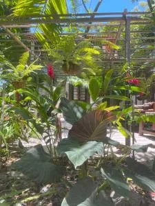 REFUGIO DO SAGRADO MORERE - 莫雷雷 REFUGIO DO SAGRADO MORERE - 莫雷雷