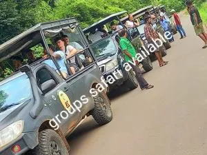 LLT kuweni palace and safari - Kala Oya