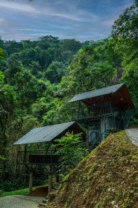Song Of The Trees Nature Stay Kutitkanam by LexStays