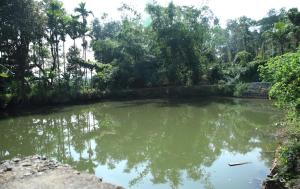 Kaveri Homestay