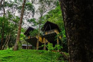 Song Of The Trees Nature Stay Kutitkanam by LexStays