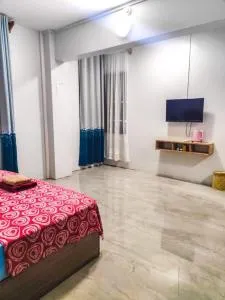 holiday birds ltd - Latanier