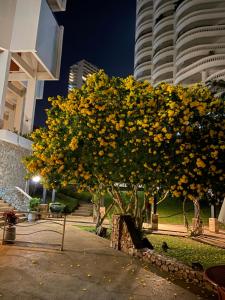 Amazing Spacious Seaview Condo