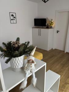 Apartmány Runi