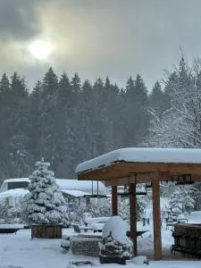 Rooms Hotel Kokhta Apartments - Didi Mitarbi