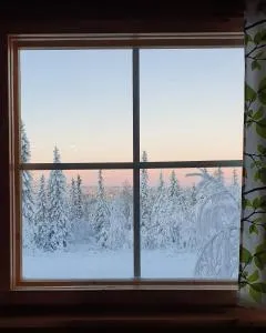 LuppoSyöte - Piispajärvi