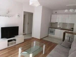 Apartament Rumianek - Zbychowo