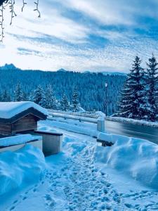 C&C Cosy et Au pied des pistes