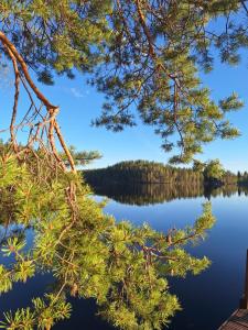Private Lakefront Dome Cabin Sauna & Breakfast Lumous