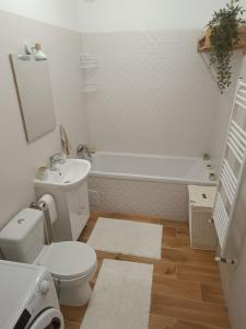 Daniela Apartment Brasov