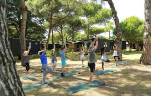 Campings Domaine Residentiel de Plein Air Les Tamarins : photos des chambres