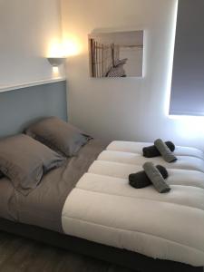 B&B / Chambres d'hotes TREAS GLAZ : photos des chambres