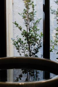 Kyoto Amazing The Wizarad of Oz