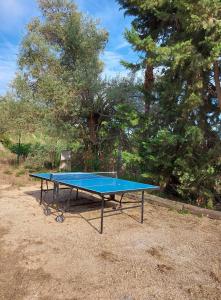 Villas Mas Chamarel a Sanary-sur-Mer au milieu des vignes et oliviers : photos des chambres