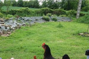Maisons de vacances Mortain-Bocage - 2-Bed Wisteria Cottage - Sleeps 4 : photos des chambres