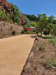 Villas Mas Chamarel a Sanary-sur-Mer au milieu des vignes et oliviers : photos des chambres