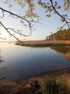 Ferienwohnung Schiemann