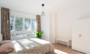 Alameda Principal Larios Centro WIFI