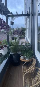 Trà duyên Homestay