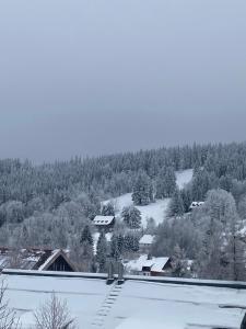 Samostatný apartmán se zahradou