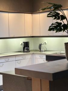 Villa t Boshuys - a private and green location for families or friends up to 16 guests