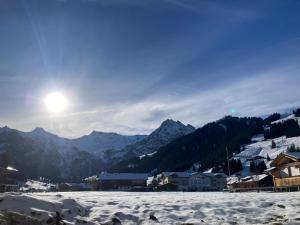 Chalet Wasserfall 3-Zimmerferienwohnung möbliert