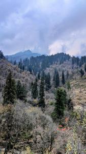 Monkstel Cottages Shangarh