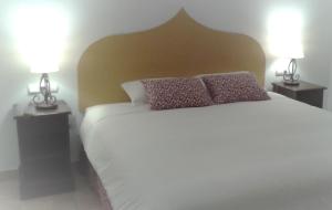 Economy Double Room room in Hotel Andalou