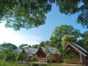 Seeing Green Udawalawa - Thenketiya