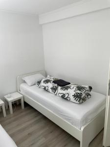 Ferienwohnung Kassel Zentral