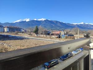 Snow Lodge Mountain view