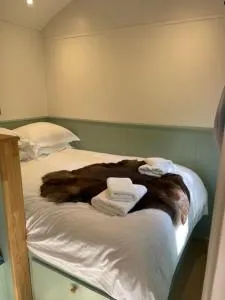 Waters Meet - Braddock