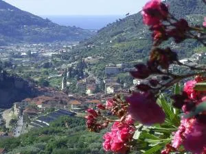 Casa Firmus - Collabassa