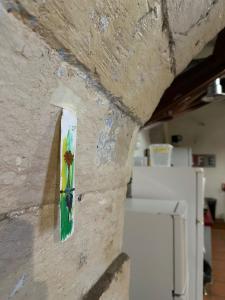 Auberges de jeunesse Hostel Vertigo Vieux-Port : photos des chambres
