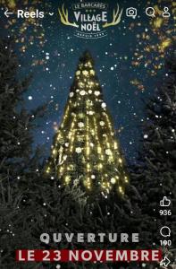 Cocon Marine-Piscine-Vue Lac-Restaurants, commerces-Calme