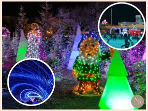 Cocon Marine-Piscine-Vue Lac-Restaurants, commerces-Calme