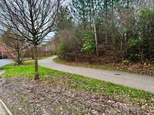 Alver Lodge , Self contained studio