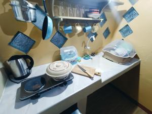 Earthsea Surf Garden Omawas