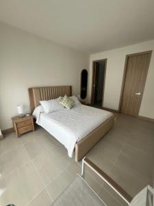 Apartamento Manzanillo del Mar