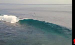 Earthsea Surf Garden Omawas