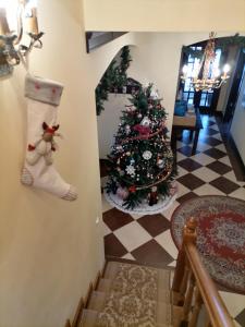 Zolota Pidkova & Forest