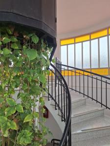 Apartment Chunin Depart