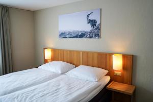 Double Room room in Hotel Bellevue Kriens