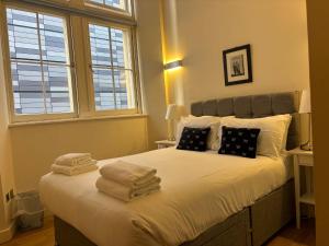 Extremely central Quartermile apartment near Castle and University