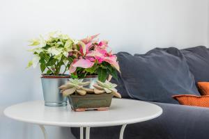 Can Picafort Sea Breeze