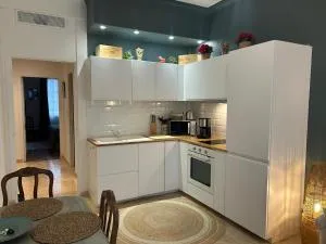 Joli et lumineux appartement proche mer et centre ville Nice - Saint-Philippe