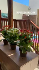 Cazamiga Camurupim - 尼西亚弗洛雷斯塔