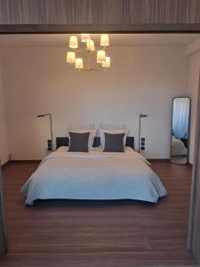 Magnifique appartement