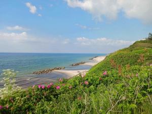 Lovely Summer House With Spa Close To The Beach