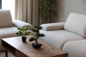 Luxury 1-Bedroom Apartment with Hall in Mamsha